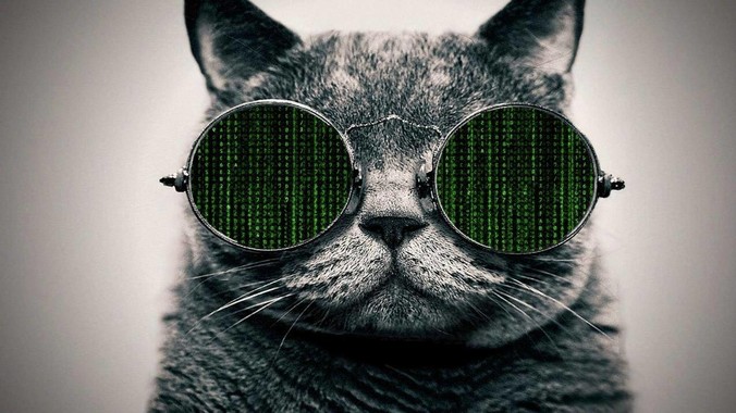 Linux 下有没有类似 Everything 的搜索工具？